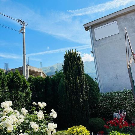 Apartamento Green Oasis Kotor Exterior foto