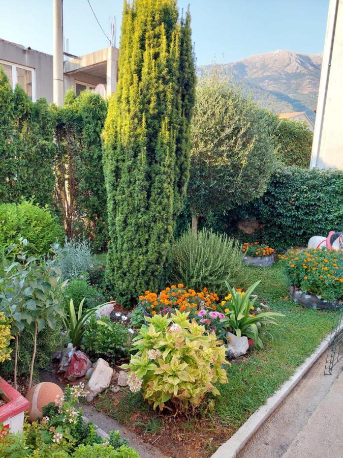 Apartamento Green Oasis Kotor Exterior foto