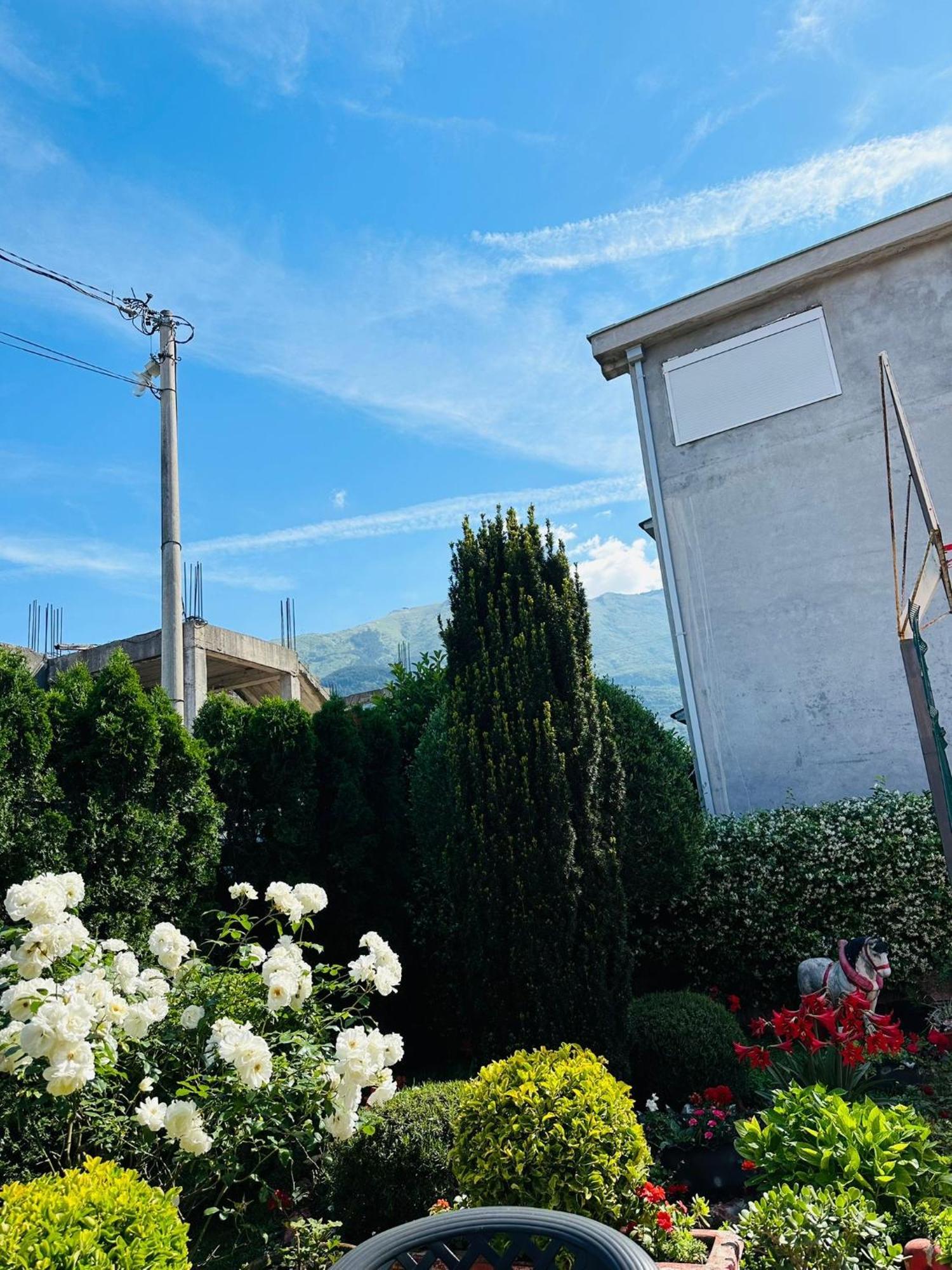 Apartamento Green Oasis Kotor Exterior foto